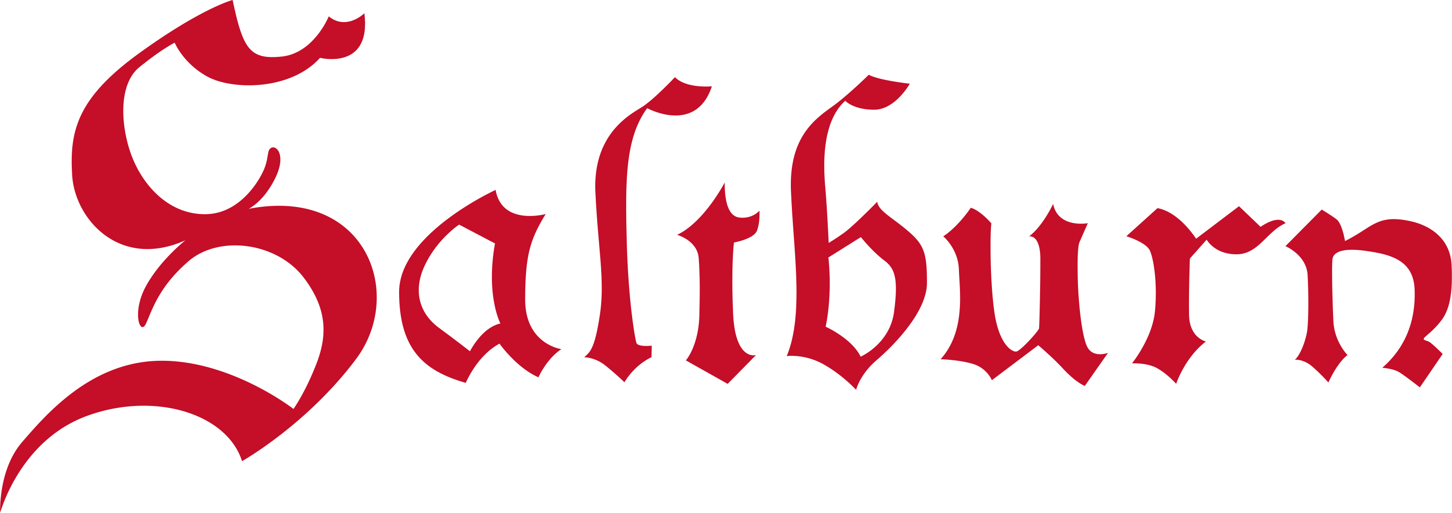 Saltburn logo