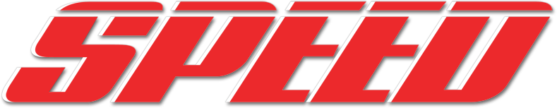 Speed Script Logo Scrybe