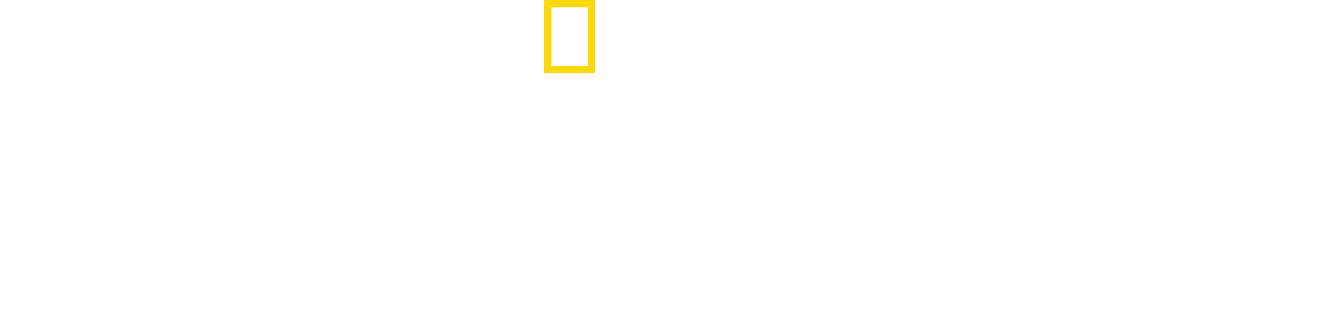 The Long Road Home logo